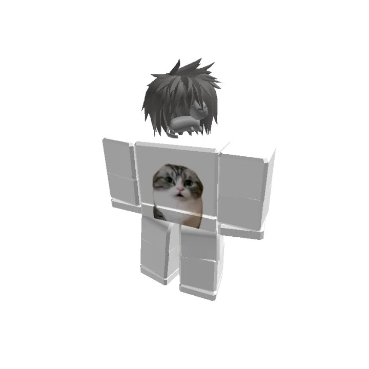DreamyFPS Roblox Avatar